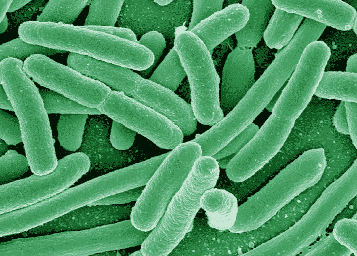 Microbes-Microorganism