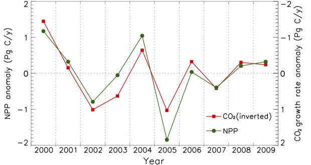 Interannual shifts in plant productivity (green line) fluctuated in step with shifts in atmospheric carbon dioxide (red line) between 2000 through 2009. Credit: Maosheng Zhao and Steven Running