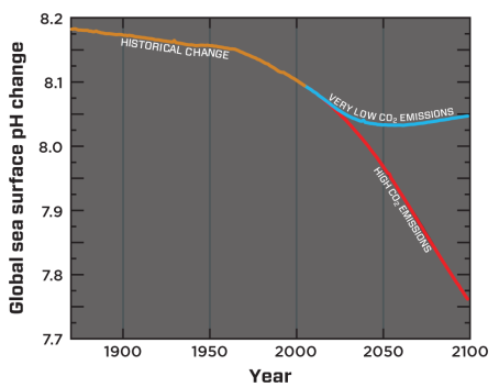 Modelled global sea-surface pH from 1870 to 2100. The blue line reflects estimated pH change resulting from very low CO2 emissions to the atmosphere (IPCC Representative Concentration Pathway, RCP* 2.6). The red line reflects pH from high CO2 emissions (the current emissions trajectory, RCP* 8.5). Credit: Adapted from Bopp et al., 2013 (reference 9).