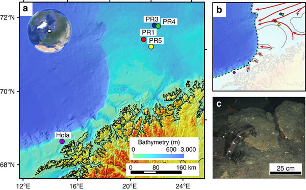 athymetric map of the study area and remotely operated underwater vehicle (ROV) recovery of authigenic carbonate