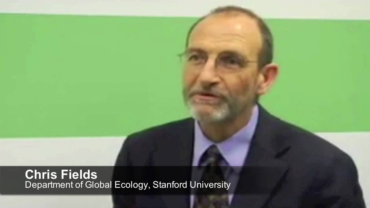 Chris Fields (2010).